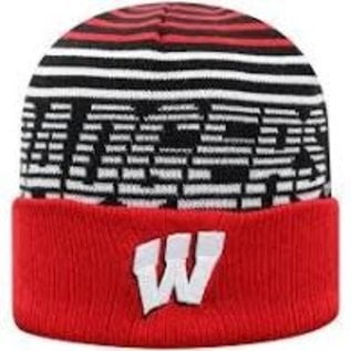 wisconsin badger stocking hat