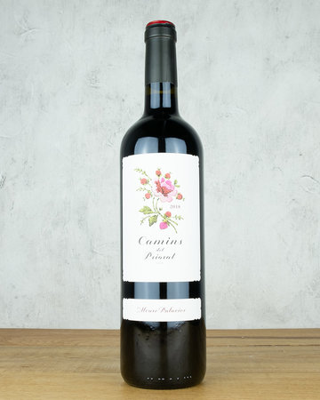 Alvaro Palacios Camins del Priorat