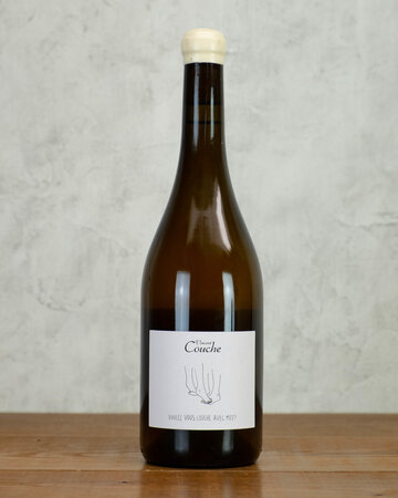 Vincent Couche Voulez Vous Couche Avec Moi?