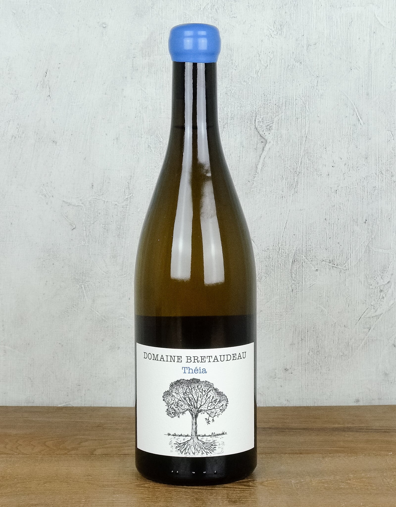 Domaine Bretaudeau Theia Muscadet