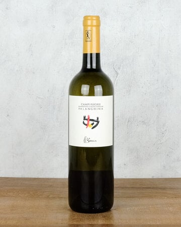 La Sibilla Falanghina