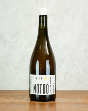 Roberto Henriquez Rivera Del Notro Blanco