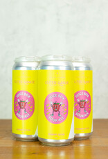 Outer Range Juice Box Sour Ale Raspberry Edition 4pk