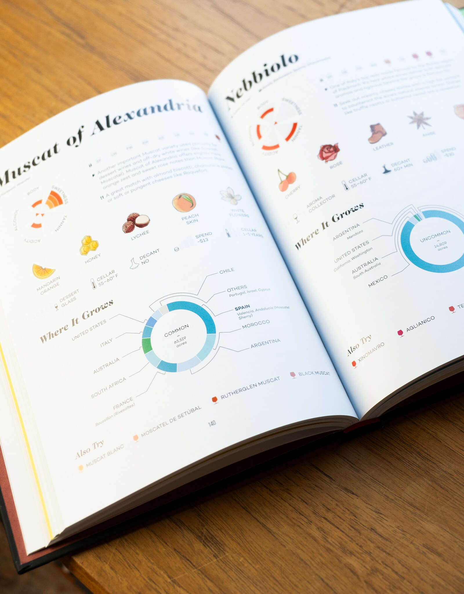 Wine Folly Magnum Edition