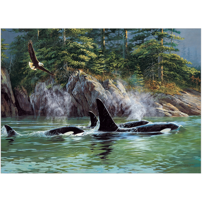Cobble Hill 1000pc Orcas 40183