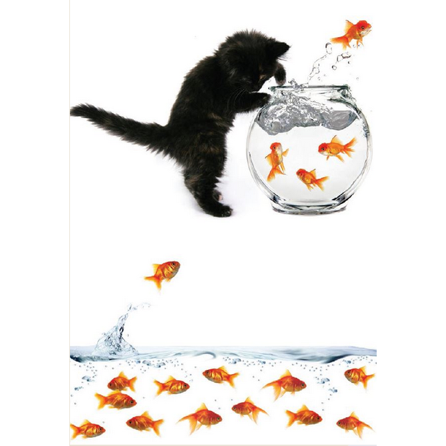 A-line Everyday Greeting Cards Fishbowl Kitten
