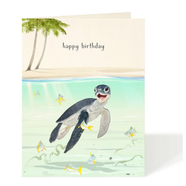 Felix Doolittle Greeting Cards Baby Sea Turtle OFS11420