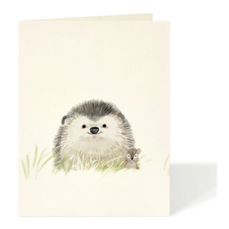 Felix Doolittle Greeting Cards Lil Hedgie OFS81681