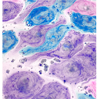 Happy Hippo Happy Hippo Mini Bath Bombs - Gumdrop