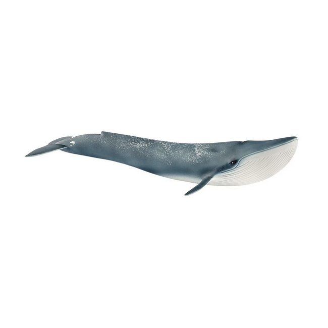 Schleich Wild Life Blue Whale 14806