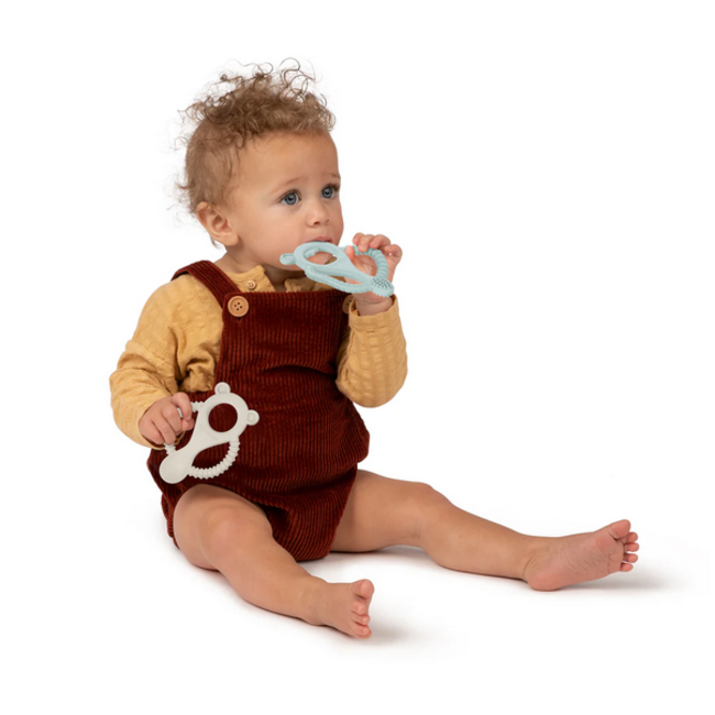 Ingenuity - Gum Buddies 2Pkg