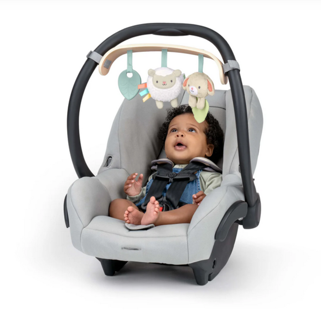 Ingenuity - Wonder & Wood Carrier Toy Bar KII16970