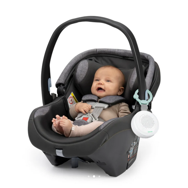 Ingenuity - Pock-a-Bye Baby-Streaming Music Player & Soothe