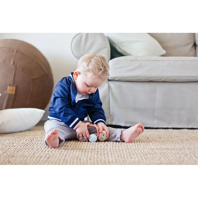 Hape - Turbo Turtle E8516