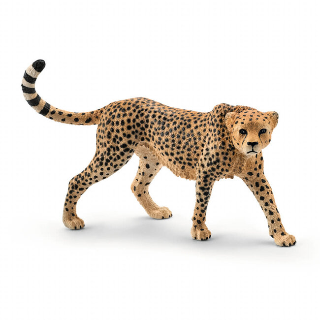 Schleich Wildlife Yellow Dot Cheetah Female 14746