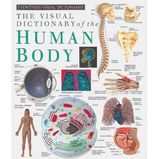 The Visual Dictionary of the Human Body
