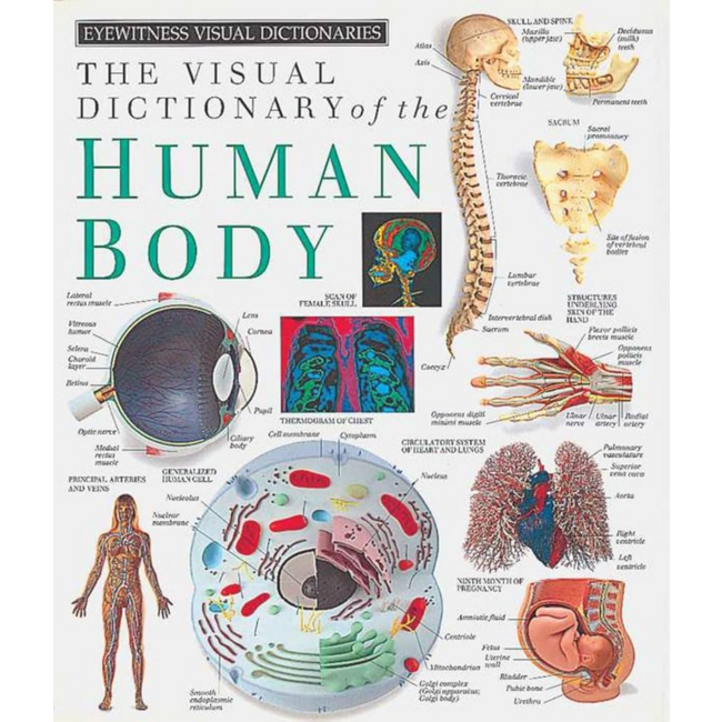 The Visual Dictionary of the Human Body