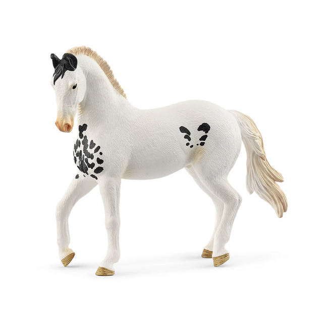 Schleich Horse Club Grey Dot Marwari Stallion 14898
