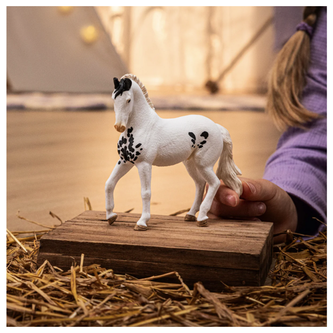 Schleich Horse Club Grey Dot Marwari Stallion 14898