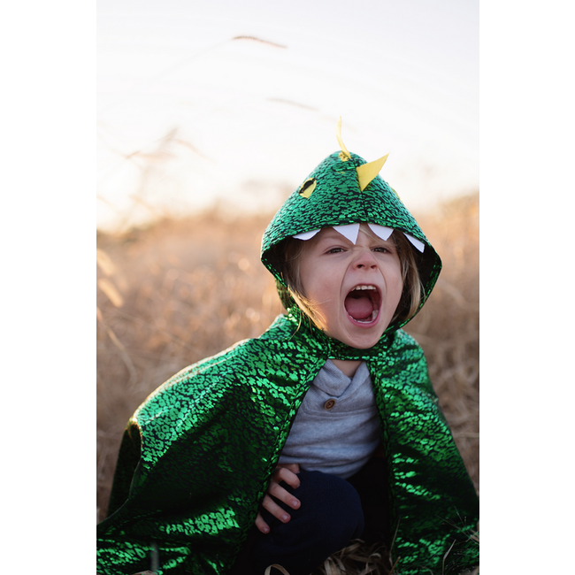 Great Pretenders Dragon Toddler Cape Green/Matallic Size 2-3