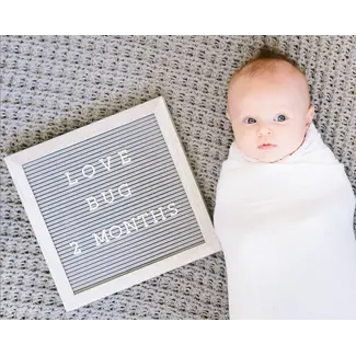 Pearhead Grey Letterboard Set