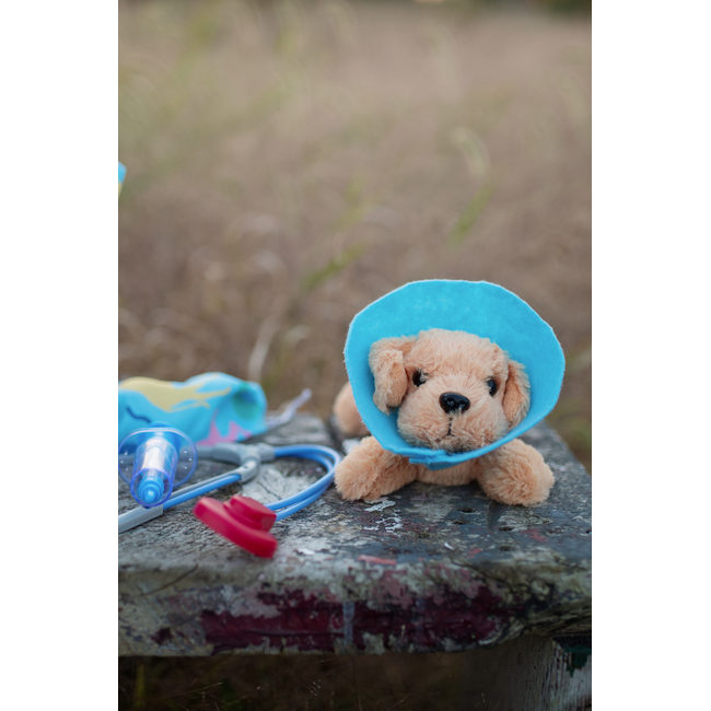 Great Pretenders Veterinarian W/ Accessories  Size 5-6