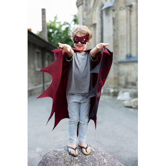 Great Pretenders Web Weaver Soft Wings W/Mask   4-6