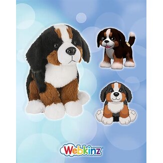 Ganz Webkinz Next - Bernese Mountain Dog