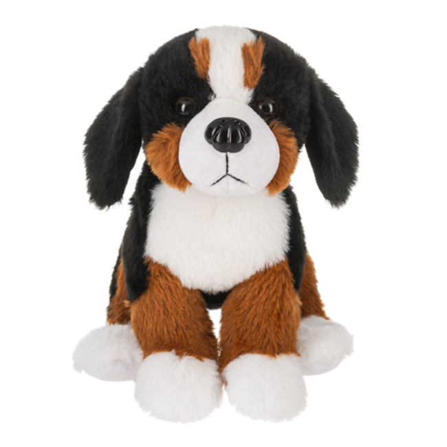 Ganz Webkinz Next - Bernese Mountain Dog