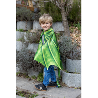 Great Pretenders Legendary Dragon Soft Wings W/Mask Size 4-6