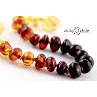 Healing Amber Healing Amber 11 inch Necklace Rainbow Circle