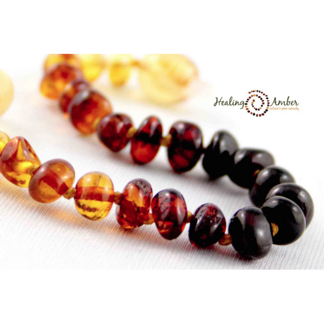 Healing Amber Healing Amber 11 inch Necklace Rainbow Circle