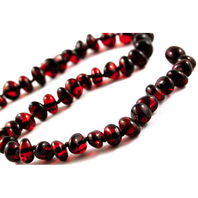 Healing Amber Healing Amber 11 inch Necklace Molasses Circle