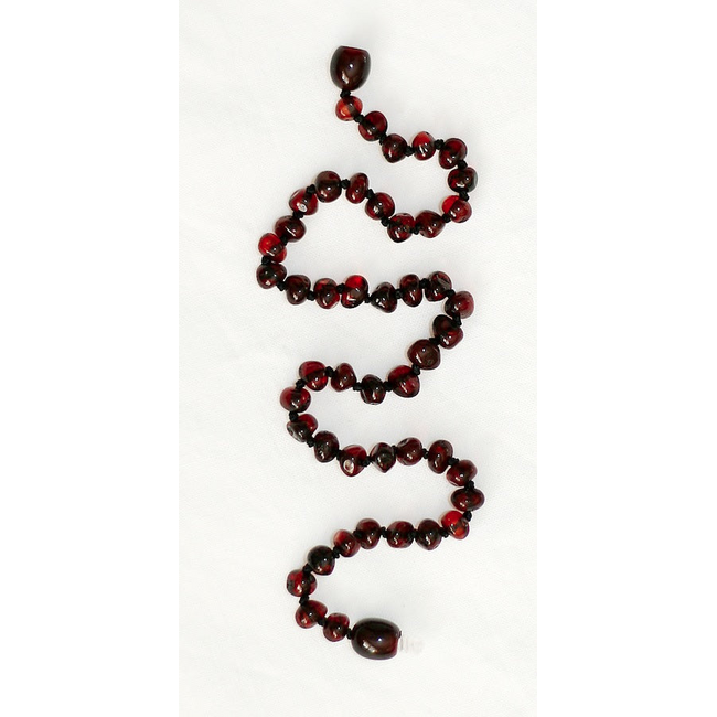 Healing Amber Healing Amber 11 inch Necklace Molasses Circle