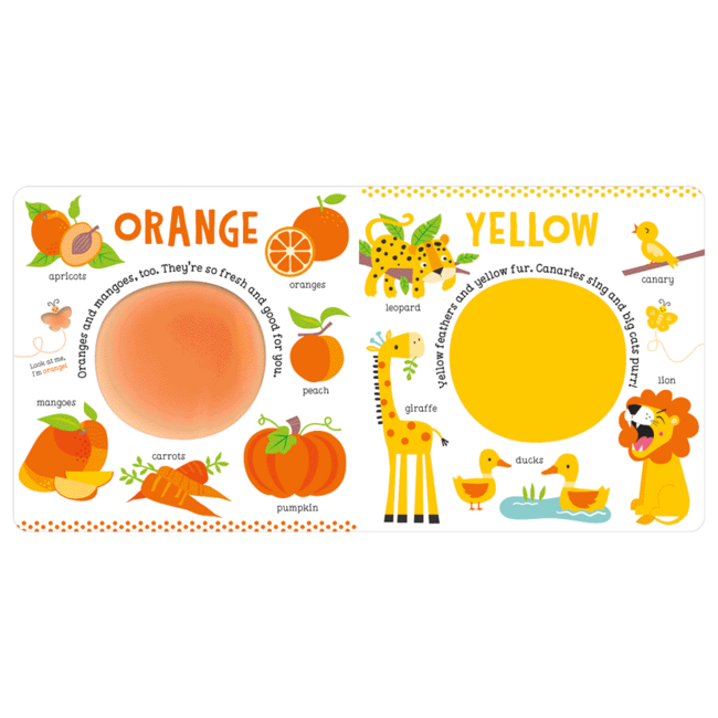 Fire the Imagination My First Book of Colours  BB