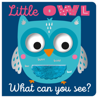 Fire the Imagination Little Owl What Can You See?