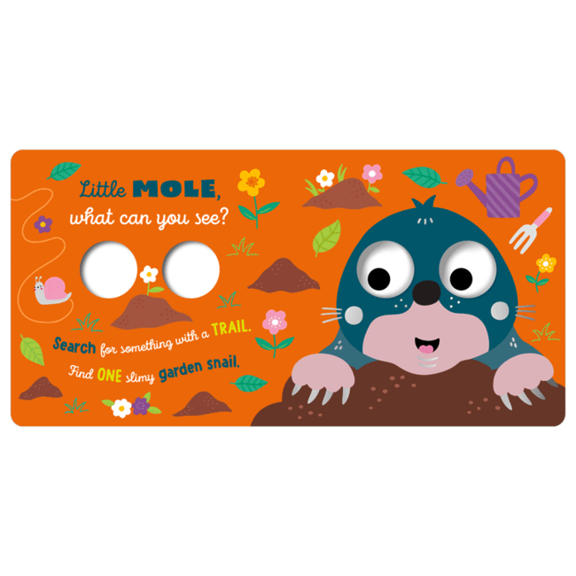 Fire the Imagination Little Owl What Can You See?