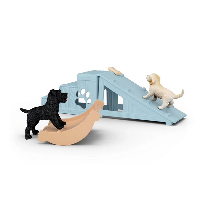 Schleich Farm World Puppy Playtime 42763