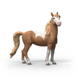 Schleich Horse Club Brown Dot Mustang Mare 14920