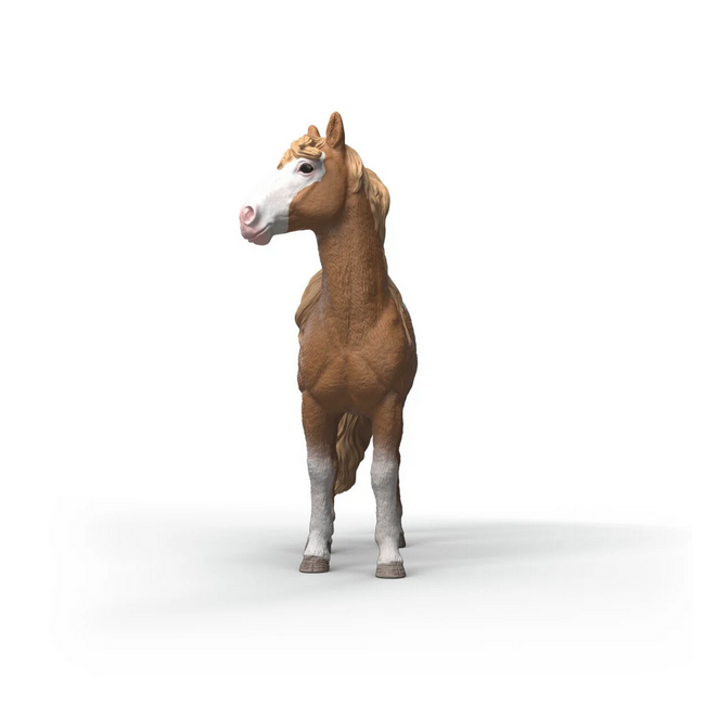 Schleich Horse Club Brown Dot Mustang Mare 14920