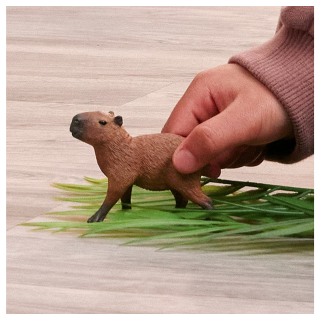 Schleich Wildlife Red Dot Capybara 14934