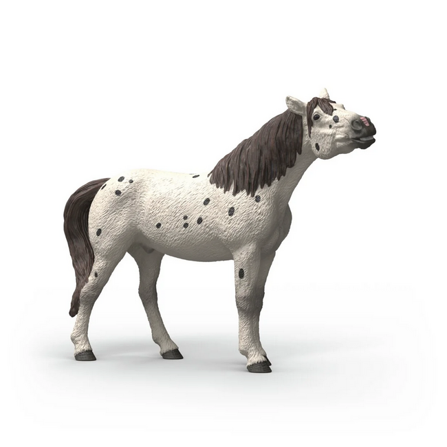 Schleich Horse Club Grey Dot Knabstrupper Gelding 14916