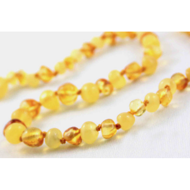 Healing Amber Healing Amber 11 inch Necklace Gold & Cream Circle
