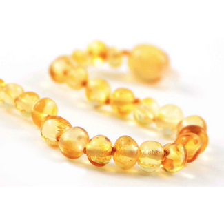 Healing Amber Healing Amber 11 inch Necklace Liquid Gold Circle