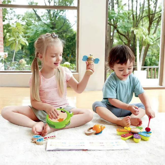 Hape - Nature Band Rhythm Kit E0639