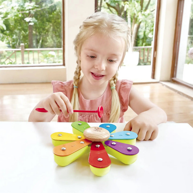 Hape - Nature Band Rhythm Kit E0639
