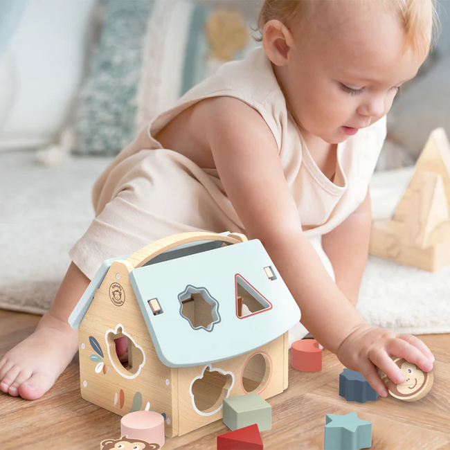 Speedy Monkey Speedy Monkey - House Shape Sorter