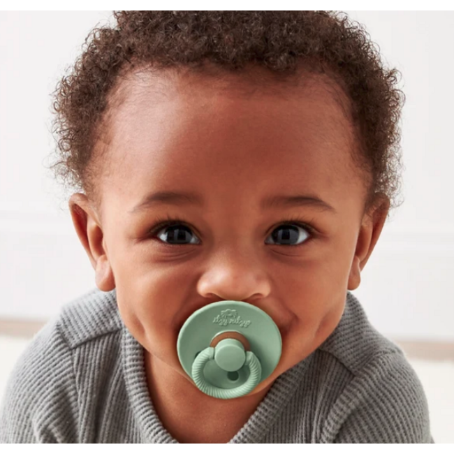 Itzy Ritzy Itzy Soother Natural Rubber Pacifer Set 6-18m - Succulent & Agave