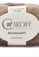 Cardiff Cardiff Brushlight