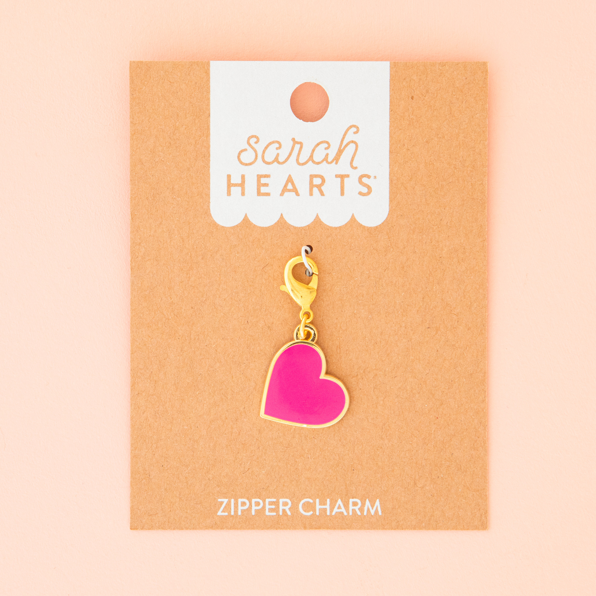 Progress Keeper/Zipper Charm